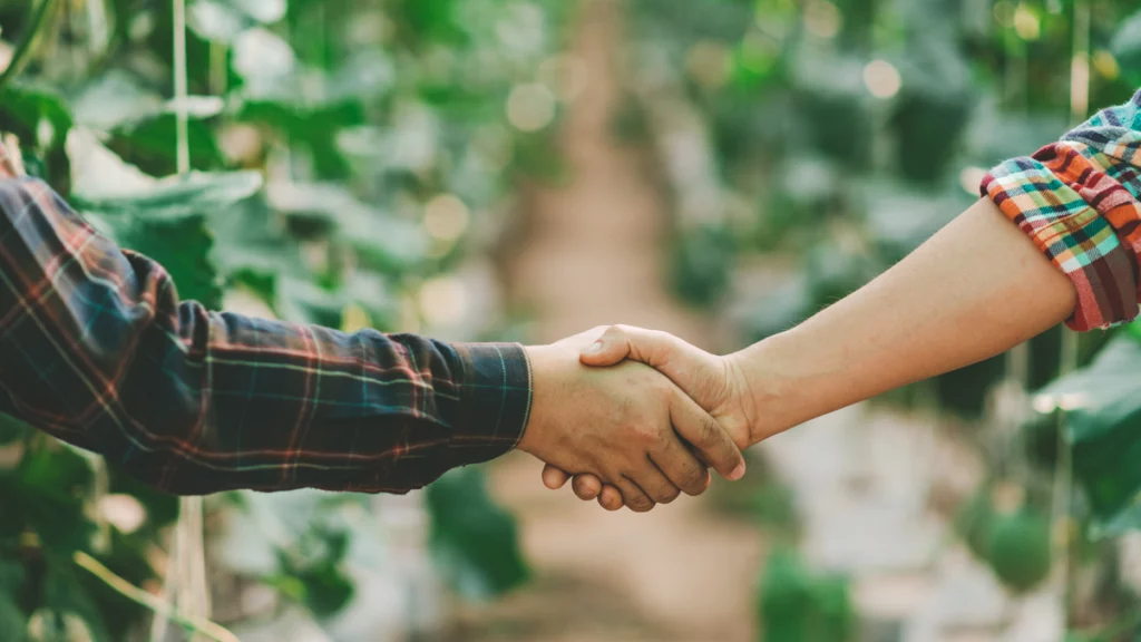 faturação eletrónica e cooperativas agrícolas