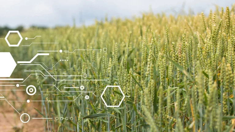 Agriculture et facturation électronique numérique